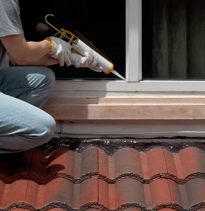 Roof Window Services in Port Orange, Florida