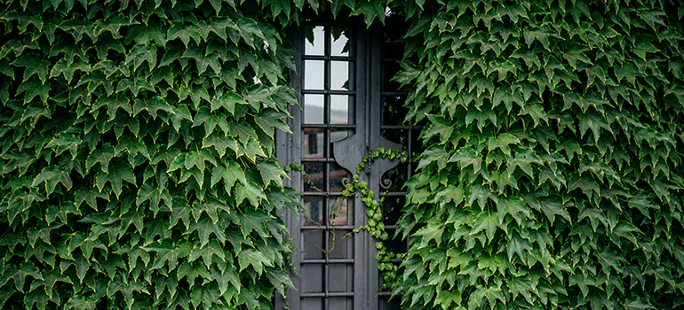 Garden Gate Repair in Port Orange, FL