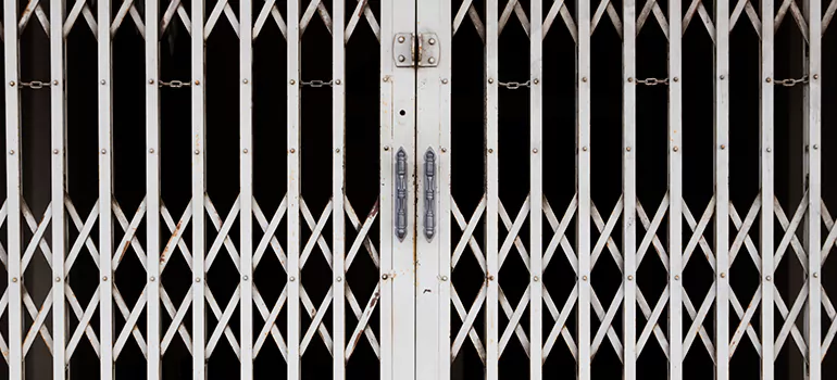 Steel Line Garage Door Repairs in Port Orange, FL