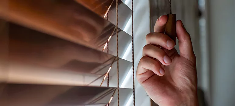 Double Roller Blinds in Port Orange, FL