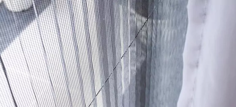 Fixing Screen Window Mesh in Port Orange, FL