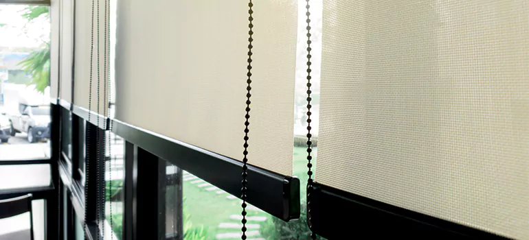 Blackout Window Shades in Port Orange, FL