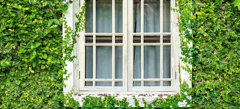 Garden Window Repair Near Me in Port Orange, FL