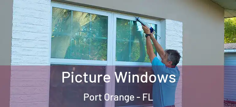  Picture Windows Port Orange - FL