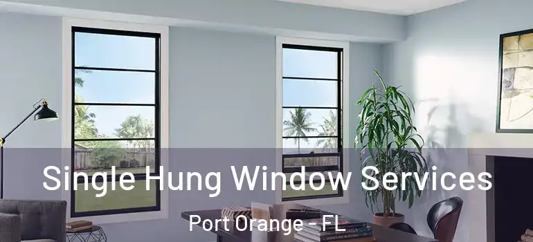  Single Hung Window Services Port Orange - FL