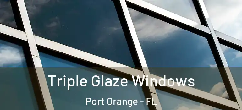  Triple Glaze Windows Port Orange - FL