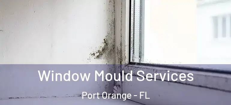  Window Mould Services Port Orange - FL